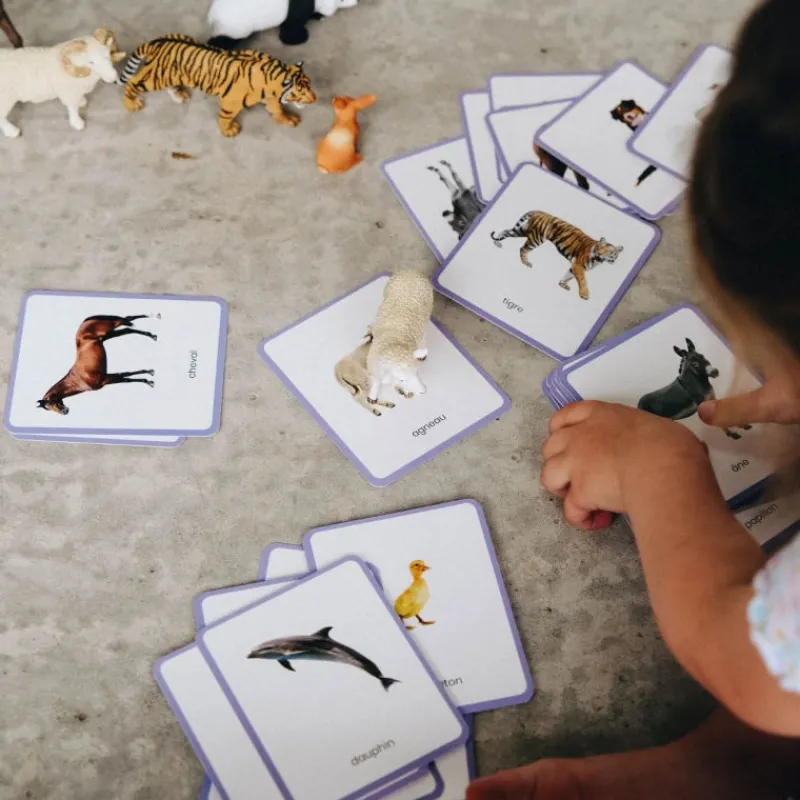 Observe Montessori Imagier ANIMAUX mini Mondy, cartes de nomenclature< Jeux De Société