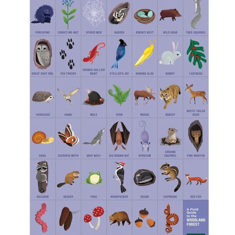 Mudpuppy Puzzle 'Cherche & Trouve' Animaux de la forêt 64 pcs<Enfant Puzzles Dès 5 Ans, 54 Pcs
